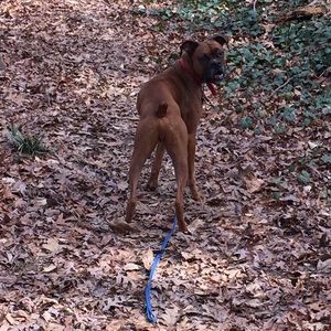 Meet your Posher, Robert